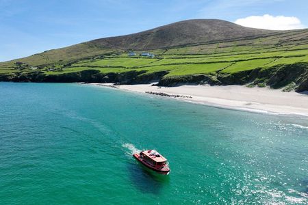 The Great Blasket Island Experience - Premium Tour