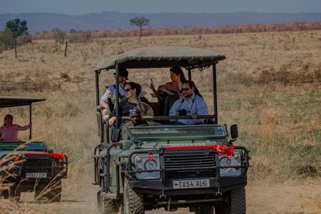 2-Day Selous (Nyerere National Park) Fly-In Safari from Zanzibar