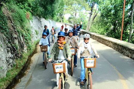 Nice Essentials Guided Electric Bike Tour