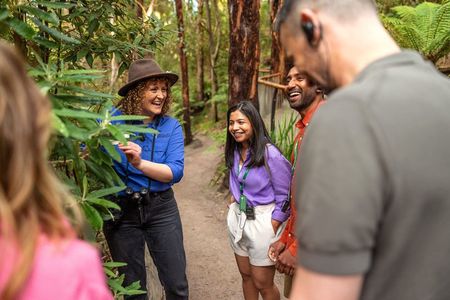 Walk with Wildlife: Guided Tour in Great Ocean Road