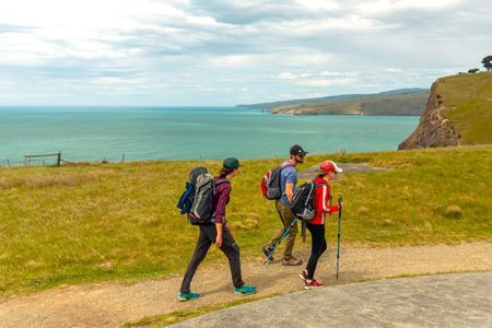Lyttelton Shore Ex: 3.5 hr Guided Scenic Hike. Transport & Food