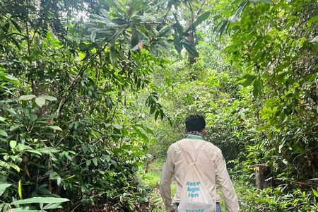 Siem Reap to Phnom Kulen Rainforest Adventure Trek