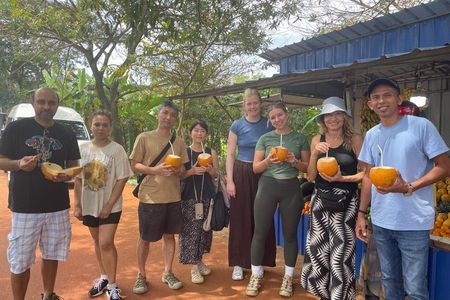 Safari Day Tour to Sigiriya Lion Rock and Golden Cave Temple
