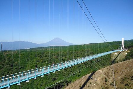 Mt. Fuji Scenic Tour to Mishima Skywalk, Izu Panorama Park & BBQ