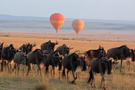 3-Day Maasai Mara Group Safari from Nairobi