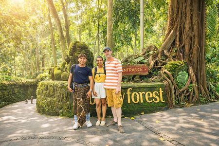 Ubud Tour: Monkey Forest, Jungle Swing, Tegalalang Rice Terrace