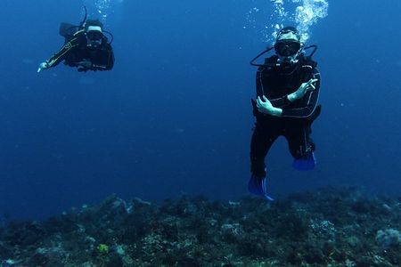 Recreational Dive Cozumel Dive Machine