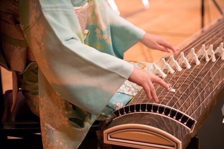 Traditional Japanese Music show & Experience Tour in Osaka