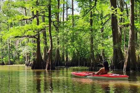 Kayak Tour in the Atchafalaya Basin Explore Louisiana Swamps