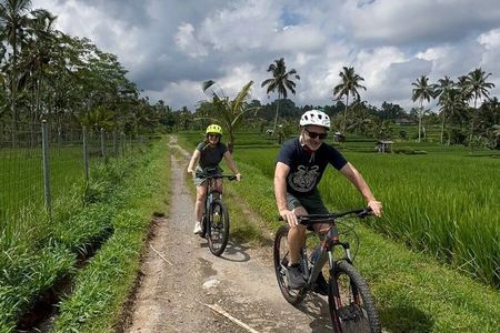 Private Ubud Downhill Cycling: Volcano, Rice Fields & Meal