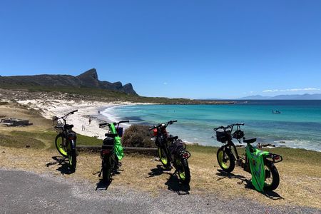 Cape Point E Bike Tour Explore Nature and Culture