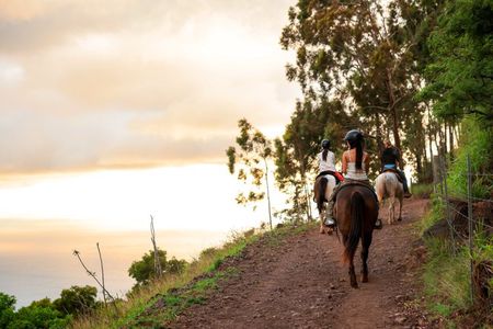 Sunset Mountain Vista Horseback Trail Ride on Oahu