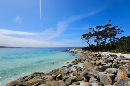 Tasmania 6 Day East Coast Tour