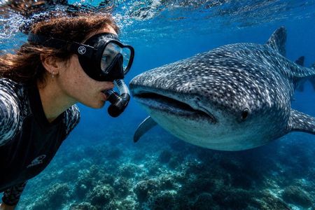 Cebu: Oslob Whale Shark Swimming & Kawasan Falls Canyoneering