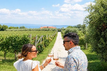 Wine tour and tasting with Lake view In Moniga del Garda