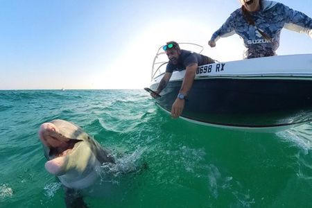 Private Dolphin and Snorkel Tour in Panama City Beach