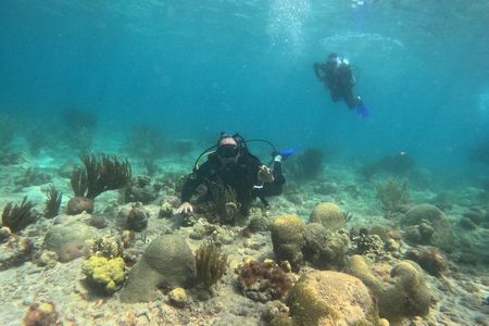 NAUI Open Water Parque Tayrona Diving Certification Course