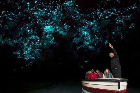 Waitomo Glowworm, Blue Springs, and Hobbiton Day tour