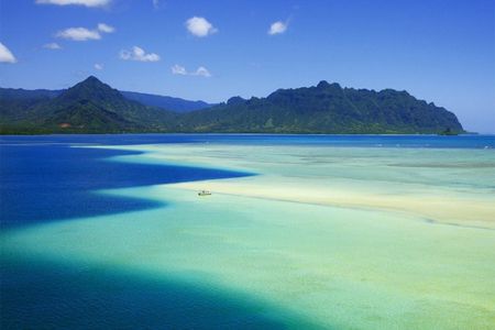 Kaneohe Sandbar Afternoon Snorkeling Tour