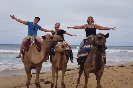 Authentic Full-Day Private Tour of Tangier