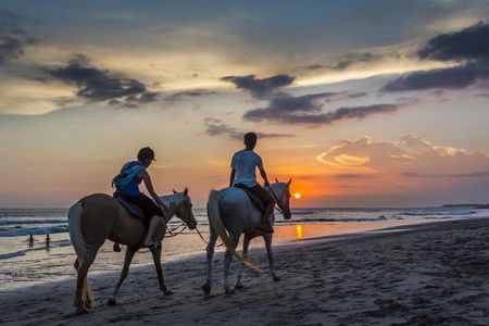 Bali Horseback Riding In Jimbaran Beach Experience