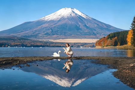 Private Chartered Day Tour to Mount Fuji