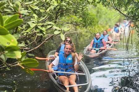 2 Hour Clear Kayak Mangrove Tunnel Eco Tour - Sarasota
