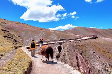 Private Palcoyo Rainbow Mountain & Alpaca Walk Experience