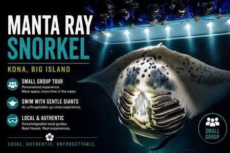Manta Ray Night Snorkel from Kona — Small Group