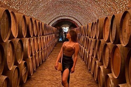 Full Day Tour to Tequila and Amatitán with Fun and Culture