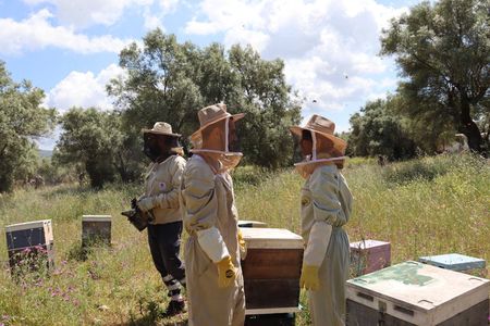 Melissini Beekeeping Experience