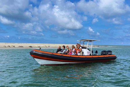 Seal Watching RIB Tour from Terschelling