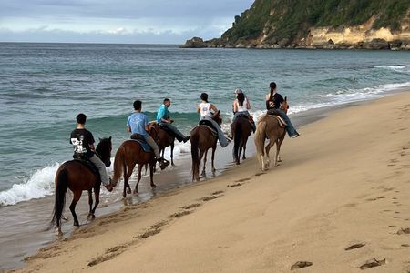 Horseback Riding Tours on Aguadilla Beach