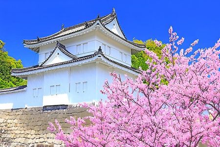 Nijo Castle Samurai Inside Story — Top-Rated Guide (Max 8)