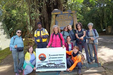 Kilimanjaro day hike tour marangu route