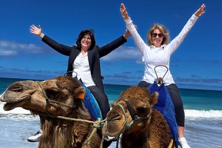 Tangier & Camel Ride: Private Luxury Half-Day Tour