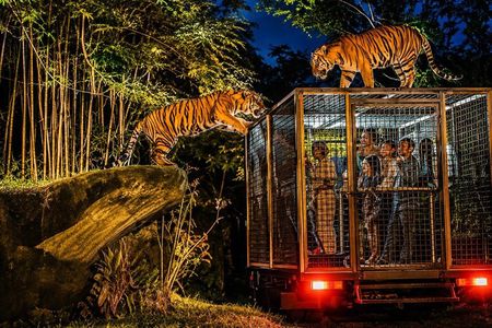 Bali Night Safari Experience
