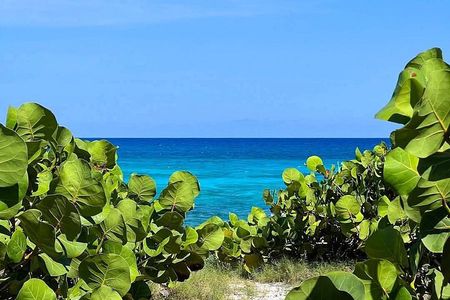 Snorkeling Adventure Cozumel