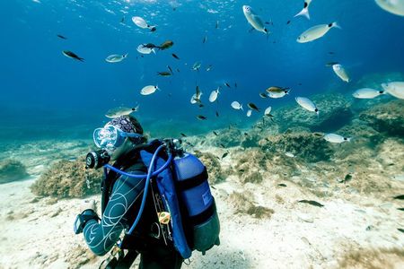 Discover Scuba Diving in Malta