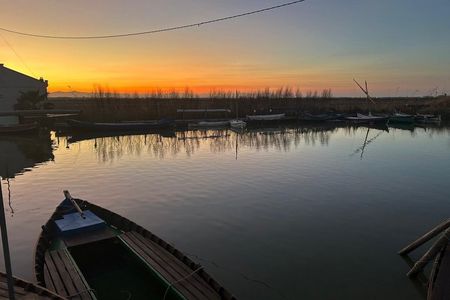 Experience Albufera from Valencia at sunset and boat trip