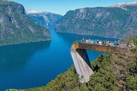Private Full Day Oslo to Sognefjord with Flam Railway Stegastein