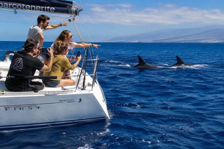 Small group sailing excursion 'Dreamer' with swimming