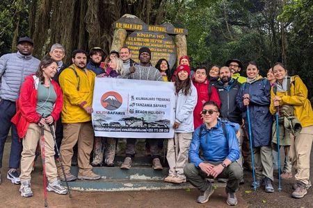 Best Mount Kilimanjaro Day Hike to Mandara Hut via Marangu Route
