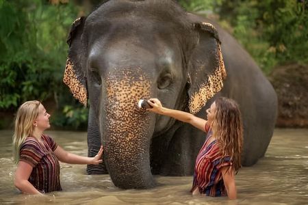Elephant Sanctuary & Floating Village Experience photography