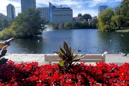 Explore Nordic Facts by Stavanger Walking Tour