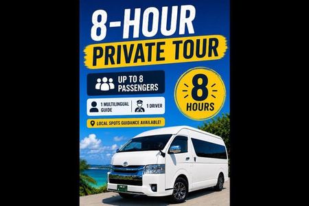 Okinawa Private Tour — Driver and Guide Included 1–8 Guests (8h)