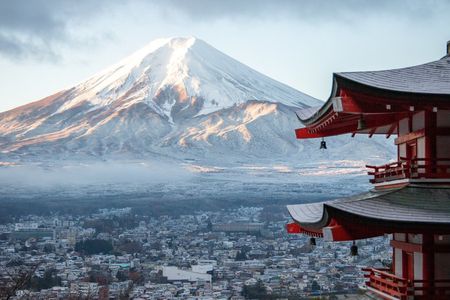 Mt Fuji Private Tour from Tokyo, Licensed (Customizable)