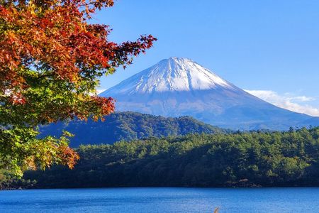 2 Days - 1.Tokyo/2.Mt. Fuji and Hakone Private Tour from Tokyo