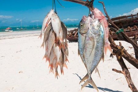Zanzibar Sea Fishing Boat Tour experience with Transfer