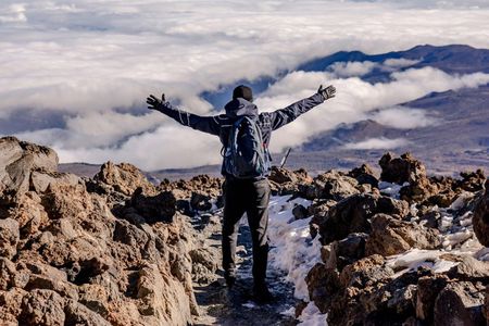 Private Mount Kilimanjaro Day Hike: Shira Plateau or Marangu